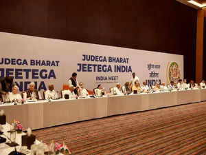 "Country's aspiration should be reflected in our logo...": INDIA bloc members  