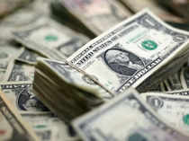Dollar to stay bright this year before fading in 2024 -analysts
