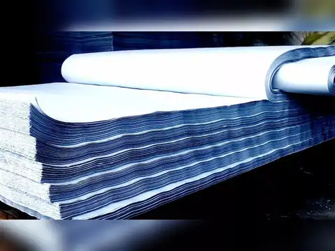 Star Paper Mills | Price Return in FY24 so far: 58%
