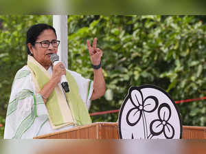West Bengal Chief Minister Mamata Banerjee