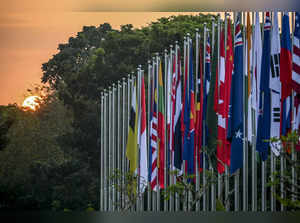 The sun sets behind tree adjacent to participant countries' flags during the 43rd Association of Southeast Asian Nations (ASEAN) Summit in Jakarta on September 7, 2023.