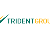 Trident Share Price Updates: Trident  Closes at Rs 40.55, Registers 1.21% Decline