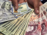 Foreign exchange reserves up by $4.04 bln to $598.90 bln for the week ending Sept 1