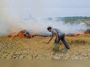 Nadia: A farmer burns crop stubble in a field, on World Environment Day, in Nadi...