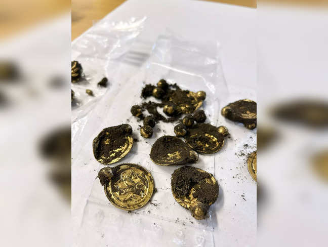A Norwegian man needed a hobby. His new metal detector found a showy 1,500-year-old gold necklace