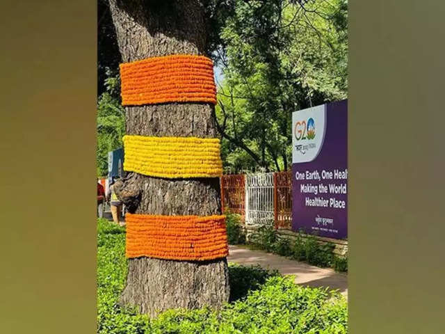 2000 trees decked up
