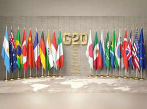 G20 summit in delhi