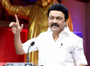 Country will be protected only if INDIA block wins 2024 elections, says Stalin