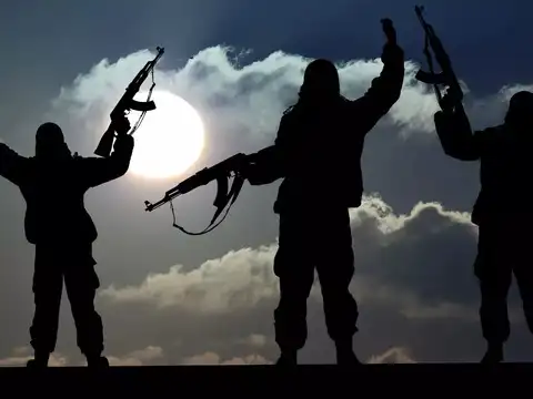 Terrorists killed