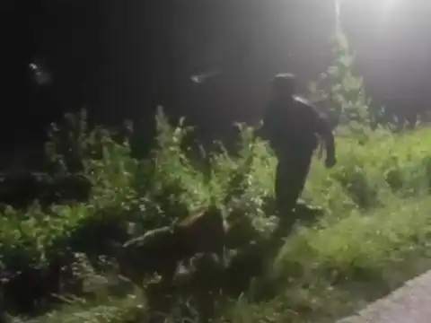 Army shares video