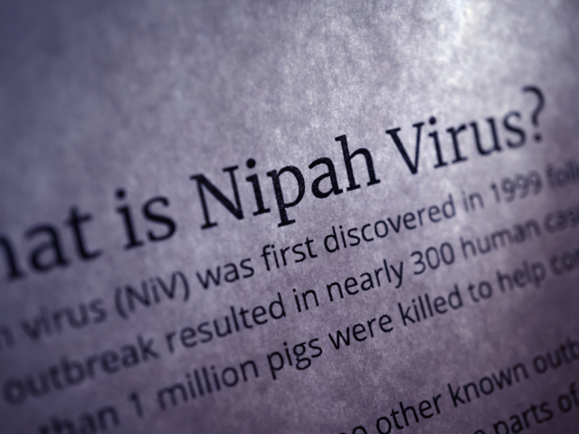 ​What is Nipah Virus​
