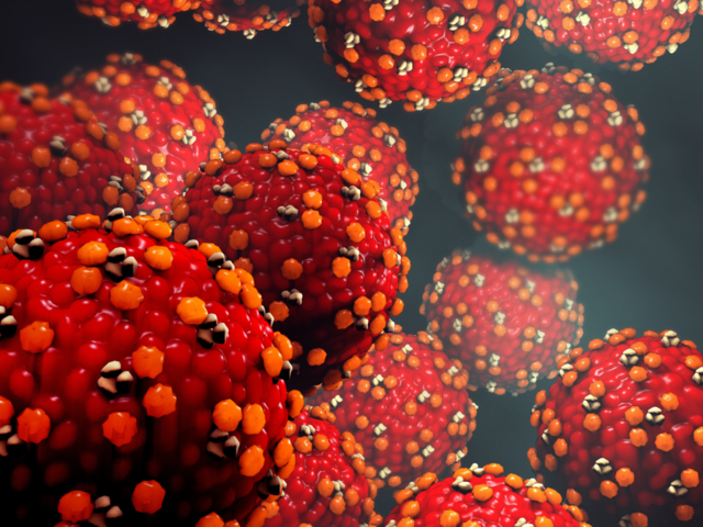 Know about Varicella-zoster virus