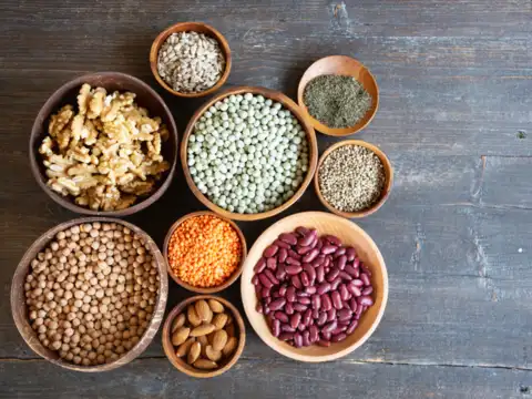 Plant-based protein