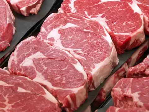 ​Red Meat​