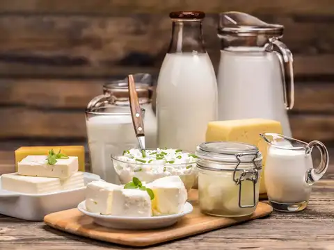 ​Dairy Products​