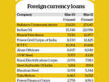 Entities that have raised overseas loans this year