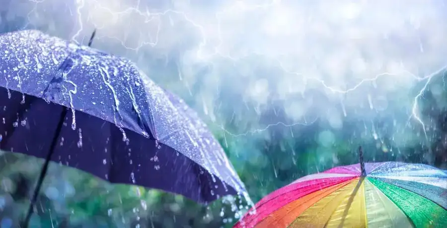 Vegetarian lunch recipes for rainy day - Vimarsana News