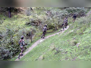 Top Hizbul commander among two terrorists killed as Army foils infiltration bid in J-K's Poonch