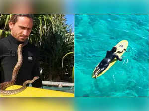 Australian surfer stirs controversy after seen riding waves with python wrapped around his neck