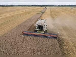 Poland calls on the EU to extend the embargo on Ukraine grain to prevent glut and protect farmers