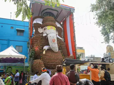 ​Vetti Veru​
