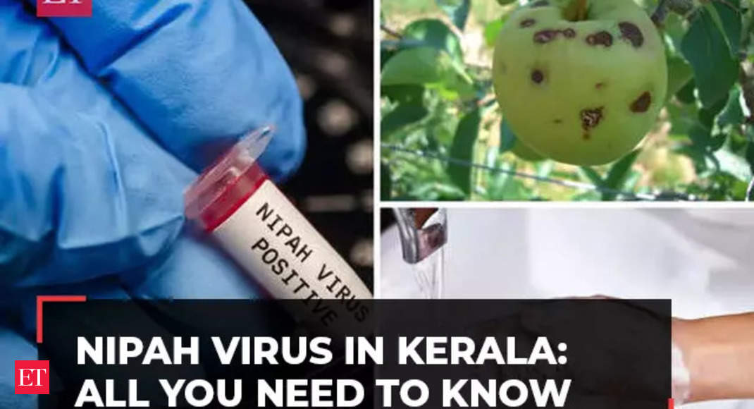 Nipah virus: Here’s all you need to know about the virus outbreak in Kerala
