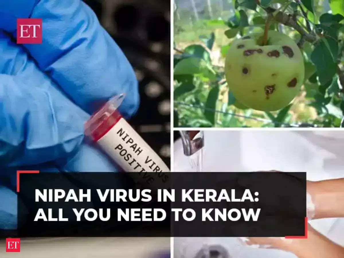 nipah: Nipah virus: Here's all you need to know about the virus ...