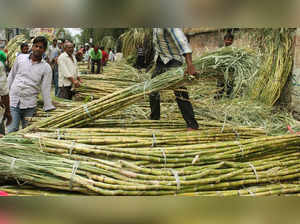 UP govt proposes hike in sugarcane SAP