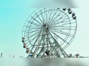 Gify City Ferris Wheel