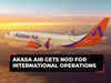 Akasa Air gets Civil Aviation Ministry's nod for international flights