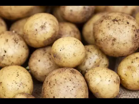 Potatoes