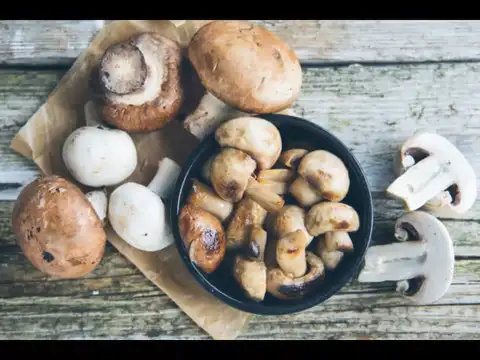 Mushrooms