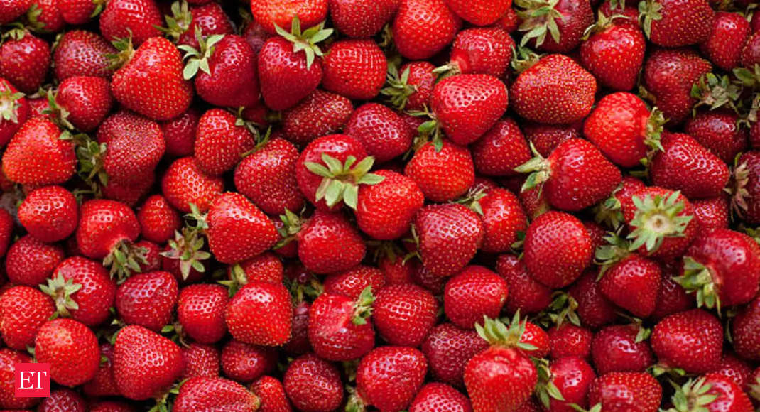 Foods high in antioxidants which one should consume for a heathy lifestyle – Strawberries