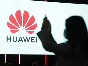 Huawei, ZTE fail to keep flock together as business takes a plunge