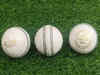 Best White Leather Balls in India: Top Picks for Cricket Enthusiasts