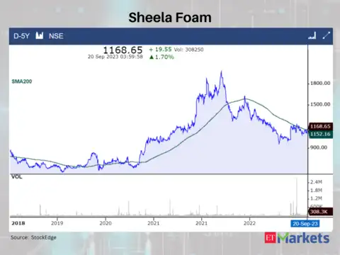 Sheela Foam