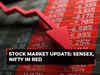 Market update: Sensex tanks 600 points, Nifty below 19,800