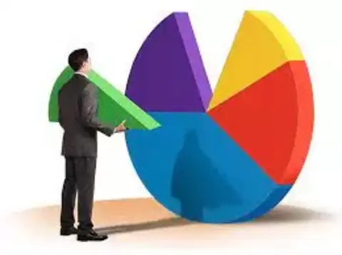 Shareholding Pattern (%)