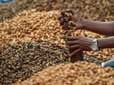 Groundnut prices increase 20% as rains delay new crop