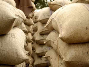 Government sells 1.66 lakh metric tons wheat, 0.17 LMT rice in e-auction to reduce retail prices