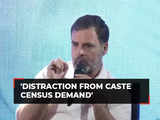 Rahul Gandhi puts MP & Chhattisgarh on Congress' 'certain win' list; Rajasthan, Telangana 'probable'