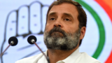Rift in INDIA? Congress, CPI lock horns over Rahul Gandhi's Waynad seat