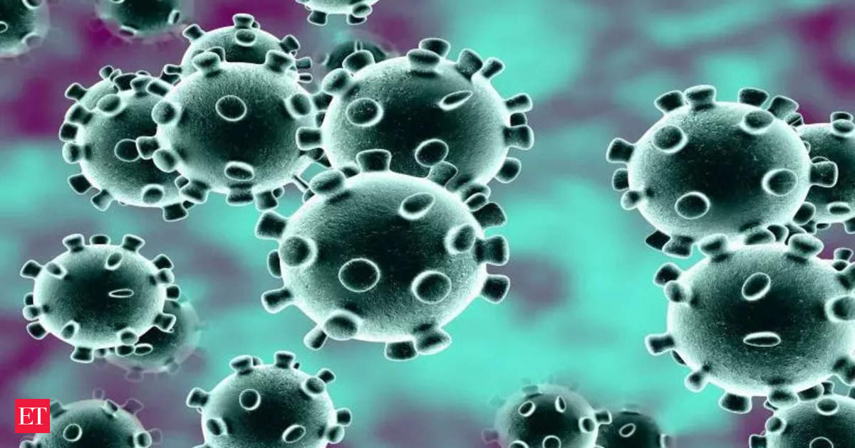 Chinese virus expert, known as batwoman, warns new coronavirus outbreak in future
