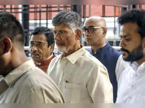 Court posts N Chandrababu's bail, police custody petitions for hearing on Tuesday