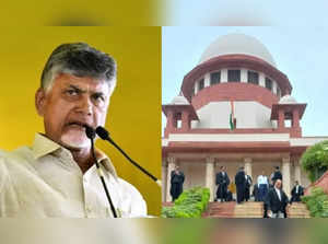 ‘Come tomorrow’, says SC on urgent mentioning of Chandrababu Naidu's plea against FIR