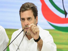 If Voted to Power, Cong will Conduct Caste Census: RG