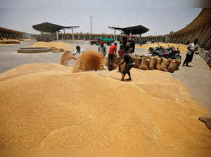 Workers fill sacks with wheat at a market yard on the outskirts of Ahmedabad