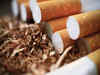 Indian scientists develop tobacco variety with 50% less nicotine, aiming for 70% reduction