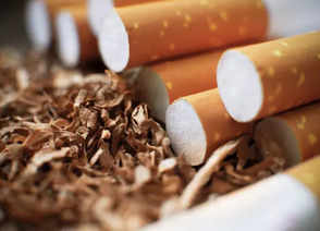 Indian scientists develop tobacco variety with 50% less nicotine, aiming for 70% reduction