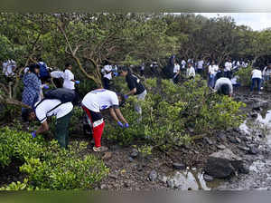 Mumbai: College students during a cleanliness drive on International Coastal Cle...